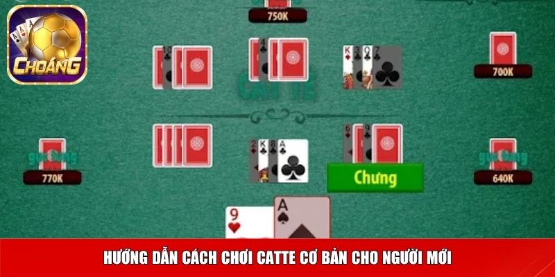 Catte 2 Hướng dẫn cách chơi catte cơ bản cho người mới