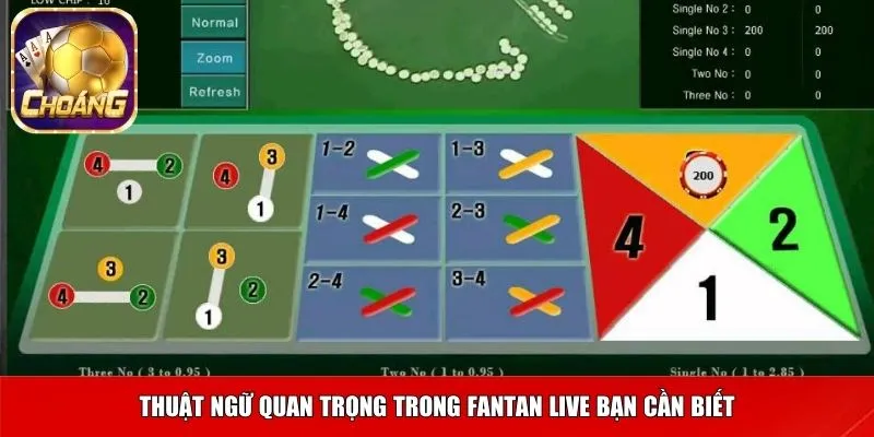 Thuật ngữ quan trọng trong Fantan Live bạn cần biết