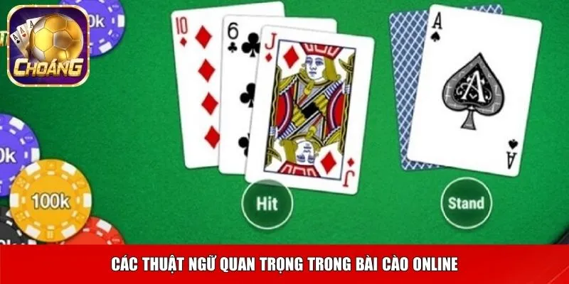Các thuật ngữ quan trọng trong bài cào online