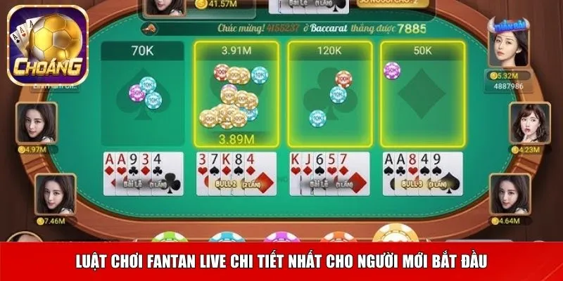 Luật chơi cơ bản của Giành chủ Bull Bull