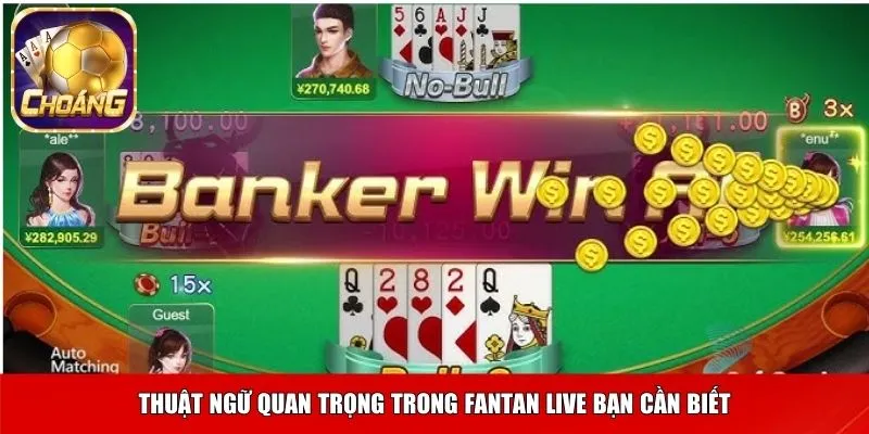 Các cấp độ trong Giành chủ Bull Bull