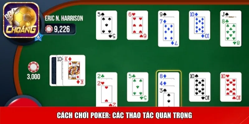 Cách chơi poker: các thao tác quan trọng