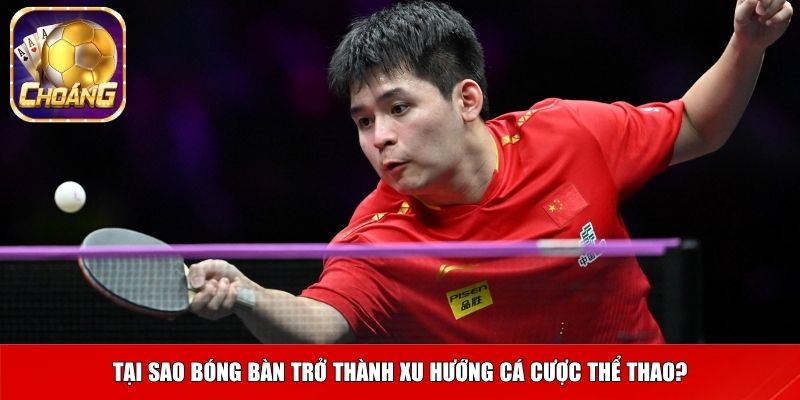 Tại sao bóng bàn trở thành xu hướng cá cược thể thao?