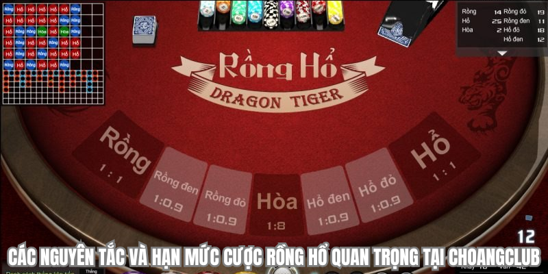 cac nguyen tac va han muc cuoc rong ho choangclub